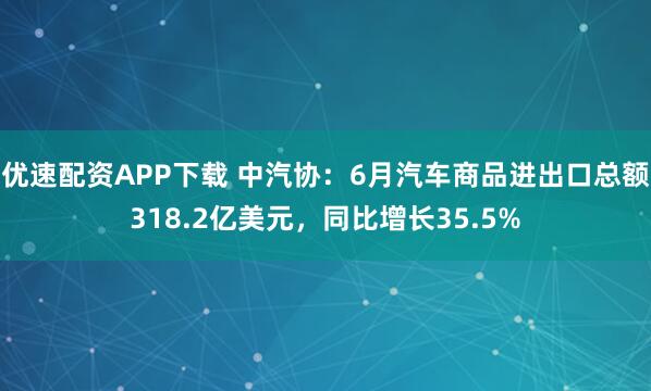 优速配资APP下载 中汽协：6月汽车商品进出口总额318.2亿美元，同比增长35.5%
